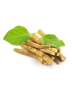 ASHWAGANDHA 100 VEGECAPS VITOBEST 2
