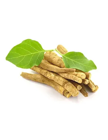 ASHWAGANDHA 100 VEGECAPS VITOBEST