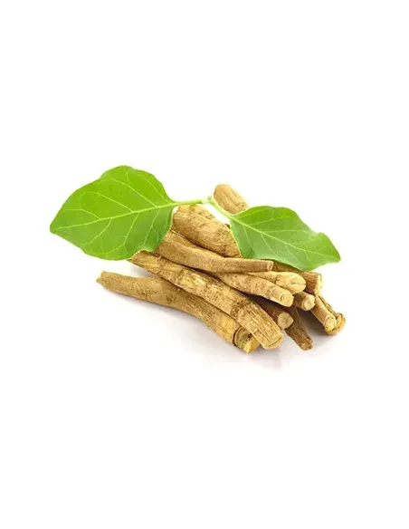 ASHWAGANDHA 100 VEGECAPS VITOBEST